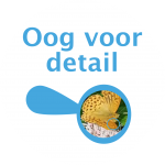 Oog voor detail